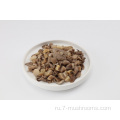 Отличная цена серого устрица грибов-1 кг